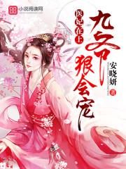 医妃九王妃 医妃九王妃