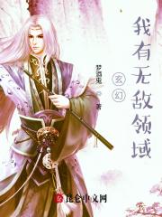 我有无敌领域系统