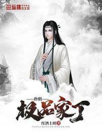 极品家丁类的历史