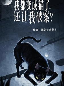 我变成了一只猫 我变成了一只猫