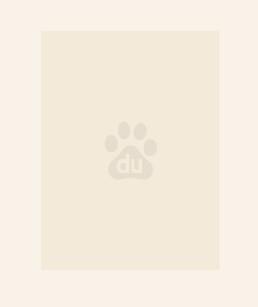 真千金的掉马日常免费