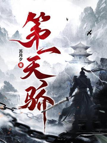 第一天骄林昊的境界划分