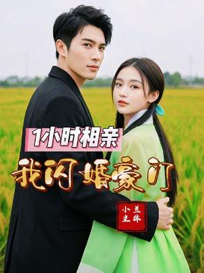 闪婚豪门相亲对象是大佬