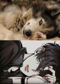 求娇作者凤卿 np