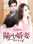 霸道总裁陆少偷心妻免费阅读 霸道总裁陆少偷心妻免费阅读