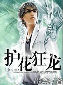 护花狂龙全文免费阅读笔趣阁 护花狂龙全文免费阅读笔趣阁
