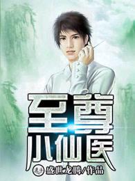 至尊小医仙txt 至尊小医仙txt