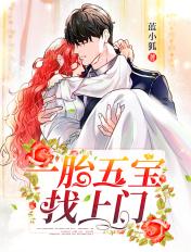 一胎五宝找上门一共几集