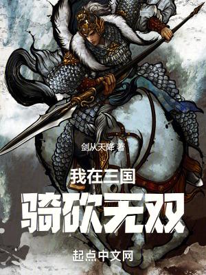我在三国骑砍无双百度百科