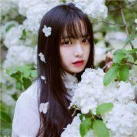 歌词我的心为你开了一扇窗 歌词我的心为你开了一扇窗