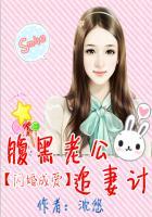 闪婚成爱:腹黑老公追妻计 闪婚成爱:腹黑老公追妻计